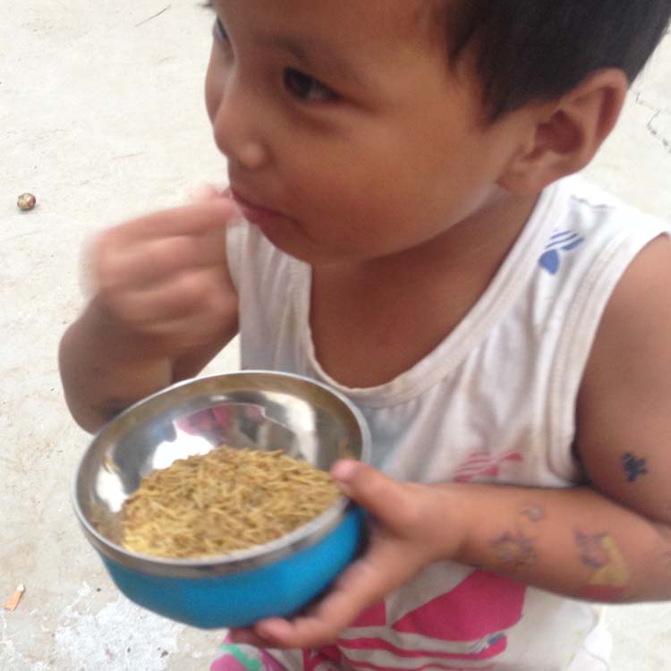 食用昆虫引领新潮流